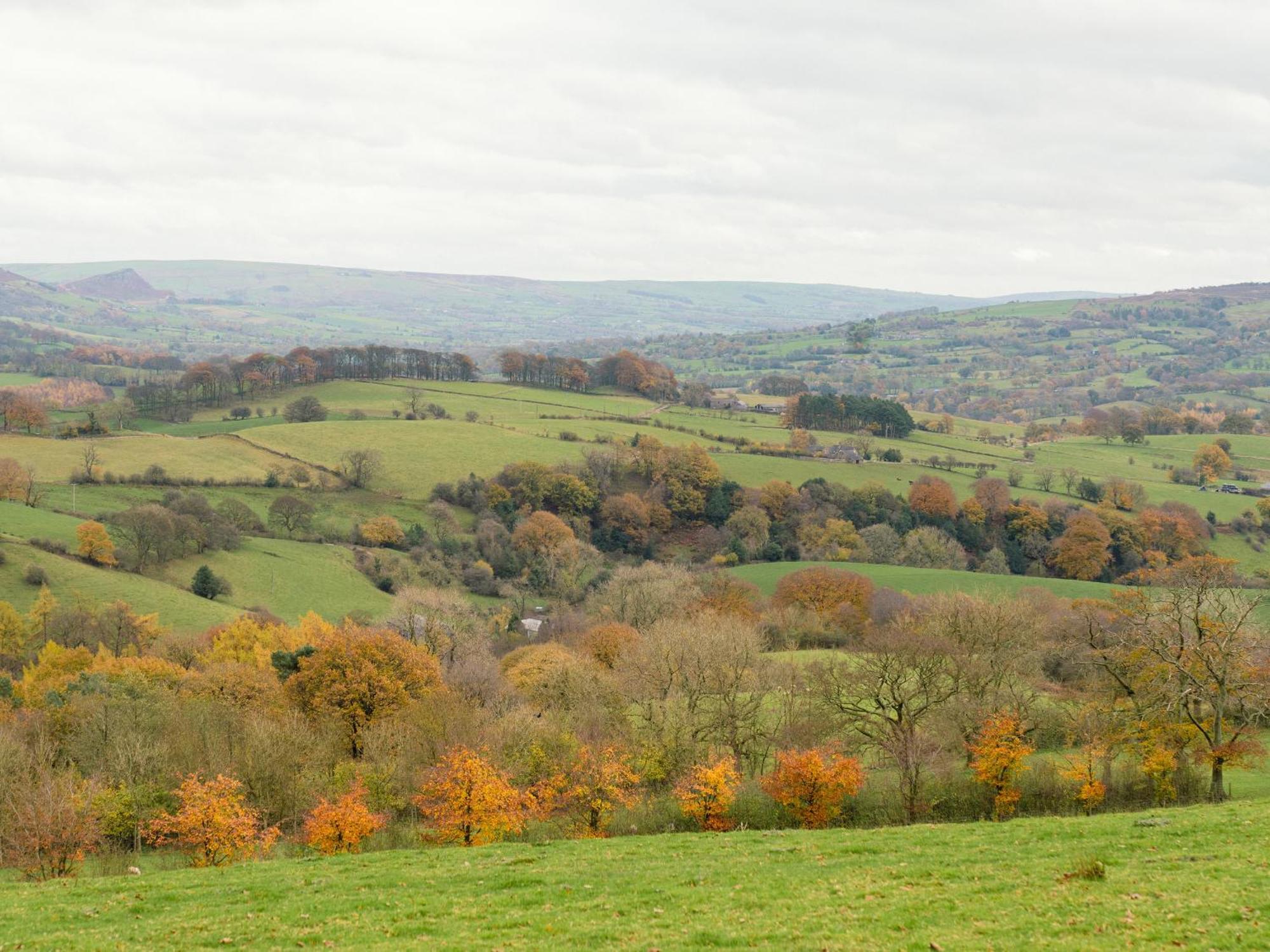 Stag Cottage Macclesfield Luaran gambar